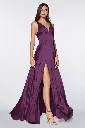 7469 eggplant.webp