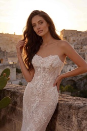 8397c-1.jpg