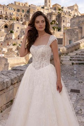 8422c-1.jpg