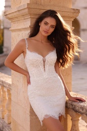 8424c-1.jpg