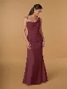 22313 Claret.webp