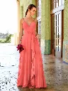 22046 Coral.webp