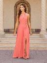 22150 Coral.webp