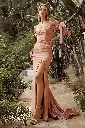 CD943_desertrose_1.webp