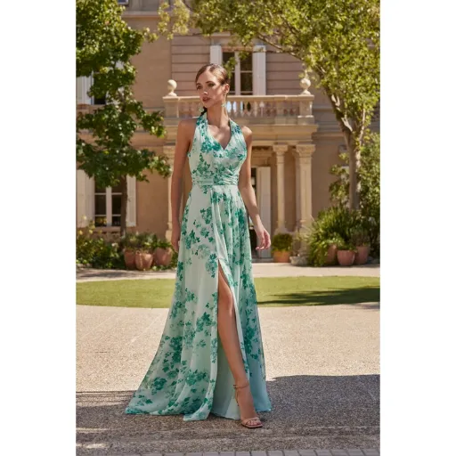 Robe longue imprimée jade - R188I